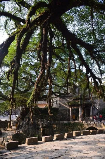 博皓游記 | 夏風(fēng)微醺的綺夢(mèng)，領(lǐng)略賀州黃姚古鎮(zhèn)、姑婆山閑憩之美-12