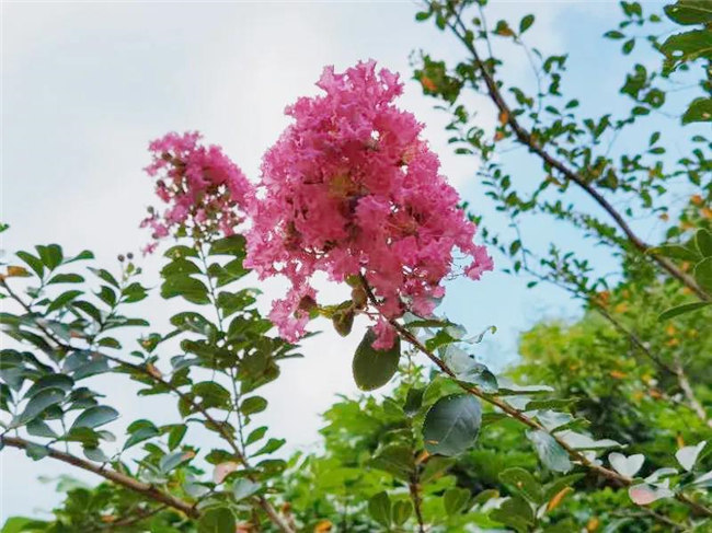 呼吸鮮氧，踐行公益——廣東博皓公益活動：星溪線公益環(huán)保活動   -5