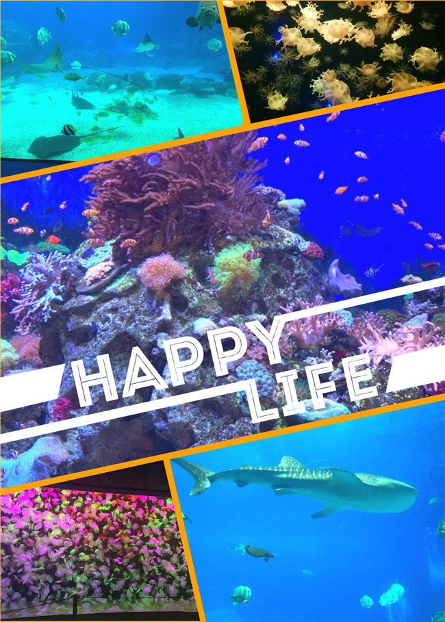 廣東博皓親子游：珠海長(zhǎng)隆海洋王國(guó)，探索海洋生物的奧秘，奇妙的動(dòng)物世界
