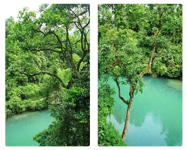 多彩貴州，魅力天下，2021年廣東博皓快樂貴州行-29
