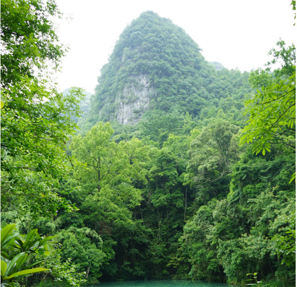 賞華夏大地，游多彩貴州-－2021年廣東博皓快樂行-2