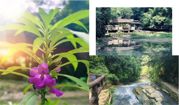 “湘”約鳳凰，相守未來——2022博皓快樂湖南行    -34