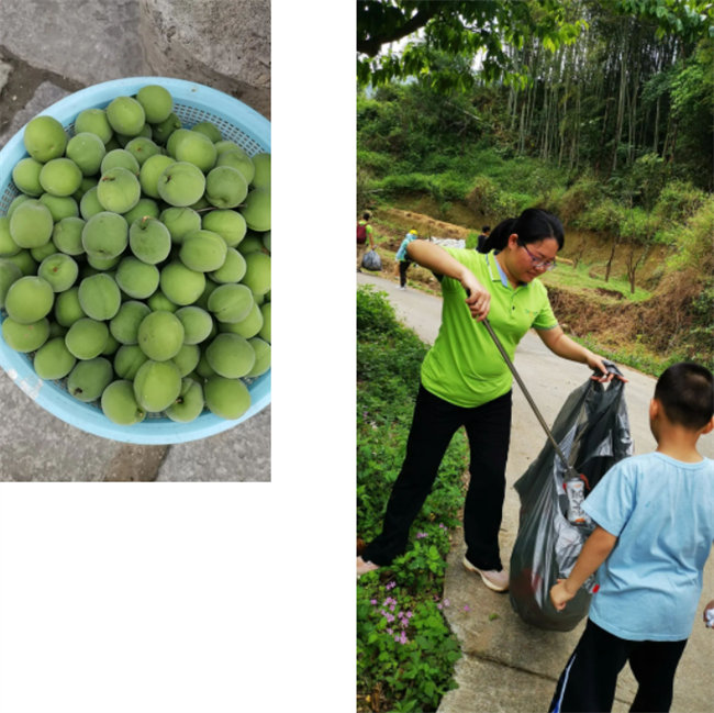 生命和綠色擁抱，人類(lèi)與生態(tài)共存——2023年廣東博皓公益活動(dòng)   -1
