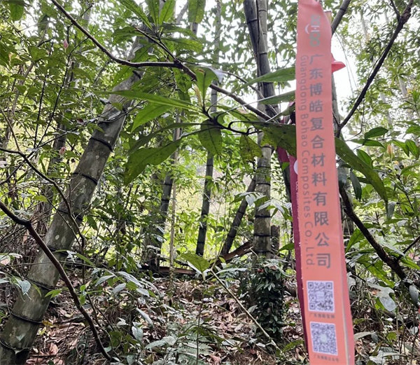 凝心聚力再出發(fā)，風(fēng)雨同舟赴星溪！--廣東博皓2024龍年首登星溪之旅     -2