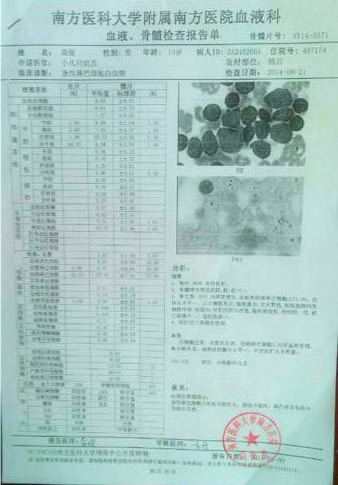 高俊的血液、骨髓檢查報(bào)告單