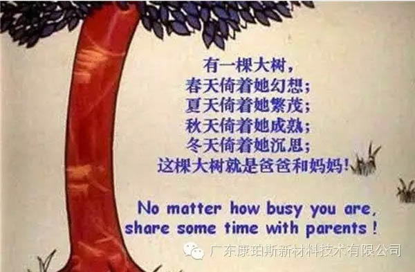 樹就是我們的父母！請(qǐng)愛護(hù)你們身邊的這棵樹！